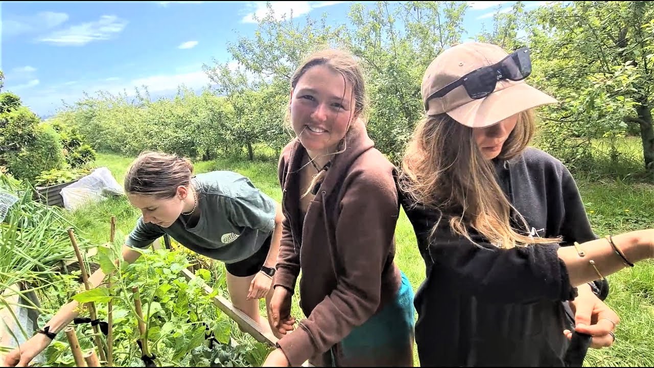 Life at the Old Farm House in New Zealand