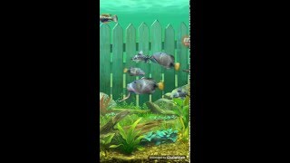 Ace Fishing Wild Catch 2 Tank Full Hidden Fish screenshot 4