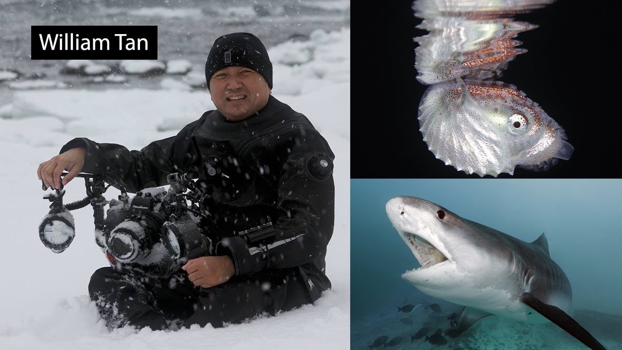 William Tan - The Underwater Tribe Live Show 