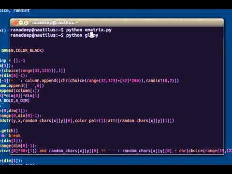Random coding on Python