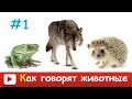 ►КАК ГОВОРЯТ ЖИВОТНЫЕ для ДЕТЕЙ. Развивающий МУЛЬТИК для САМЫХ МАЛЕНЬКИХ. УЧИМ Звуки голоса животных