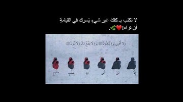 ولا تخزني يوم يبعثون  اسلام صبحي تلاوة جدا جميلة🔐💛💛.
