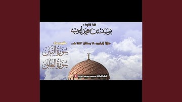 يوسف محمد ايوب سورة التين