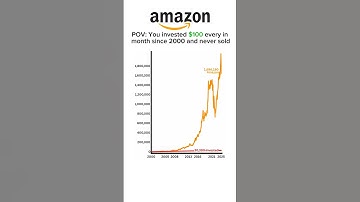 POV: You invested $100 monthly in Amazon since 2000📦🏦 #investments #amazon #stockmarket