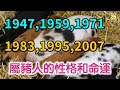 1947 1959 1971 1983 1995 2007等年份屬豬人的性格和命運 1947 1959 1971 1983 1995 2007等年份屬豬人的性格和命運