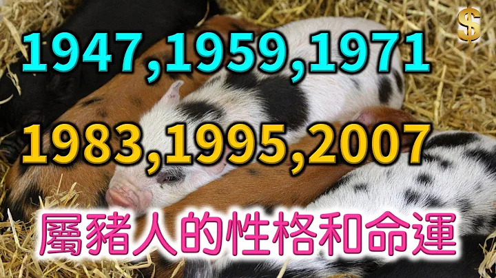 1947,1959,1971,1983,1995,2007等年份属猪人的性格和命运 - 天天要闻