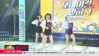 180403   Ohmygirl    