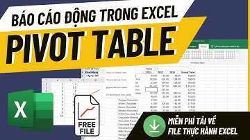 Pivot Table | Hướng dẫn tạo báo cáo động trong Excel | Pivot Table Căn Bản Tổng Hợp Dữ Liệu