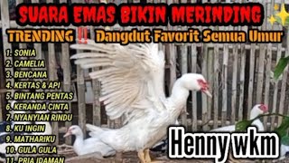 Suara Emas Bikin Merinding