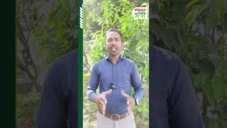 कांद्याला प्रति क्विंटल १५८० रुपये दर जाहीर | Onion Price | Market Update