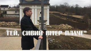 "Гей, сивий вітер плаче" Володимир Солодун (2021)