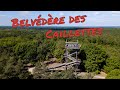 Belvdre des caillettes  loiret 45