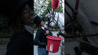 NYC Bans Horse-Drawn Carriages After Decade-Long Battle