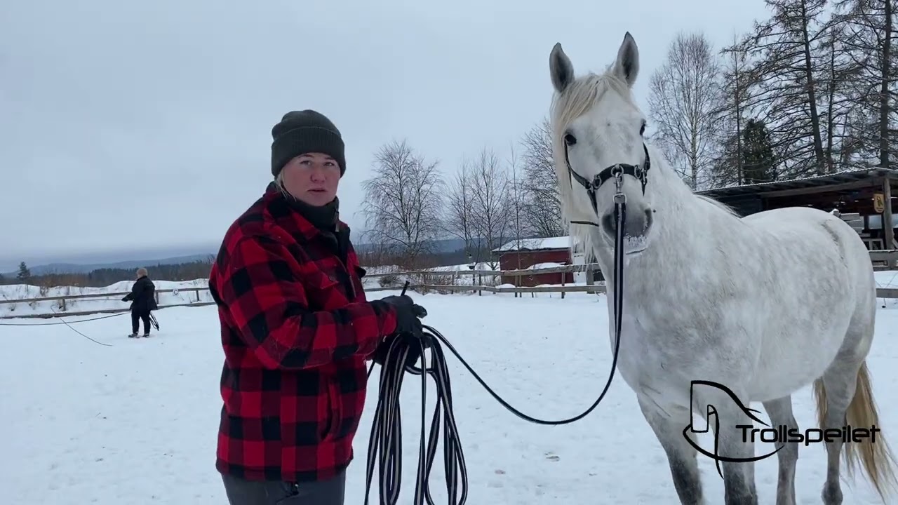 Første treningsøkt for den nye hesten!