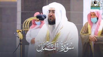 تحبير خلاب يأخذ بالألباب من سورة النمل | فجر 20-1-1443 هـ د. بندر بليلة