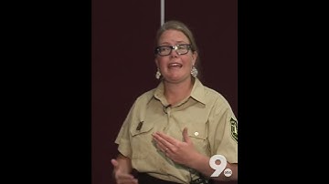 CNF to visitors: "Unauthorized activities" at border are public safety concern