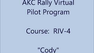 "Cody" AKC Rally Course RIV4 Score 99