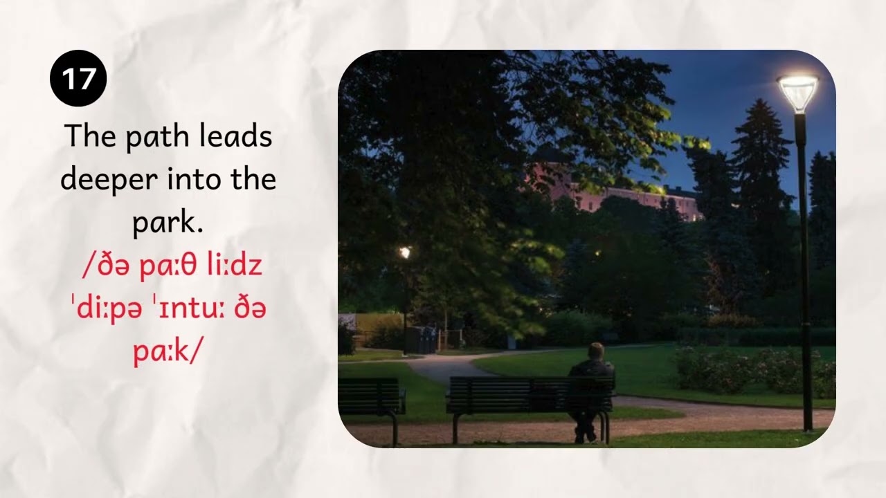 In a quiet park at night II Practice Elementary English through vivid and relaxing pictures!