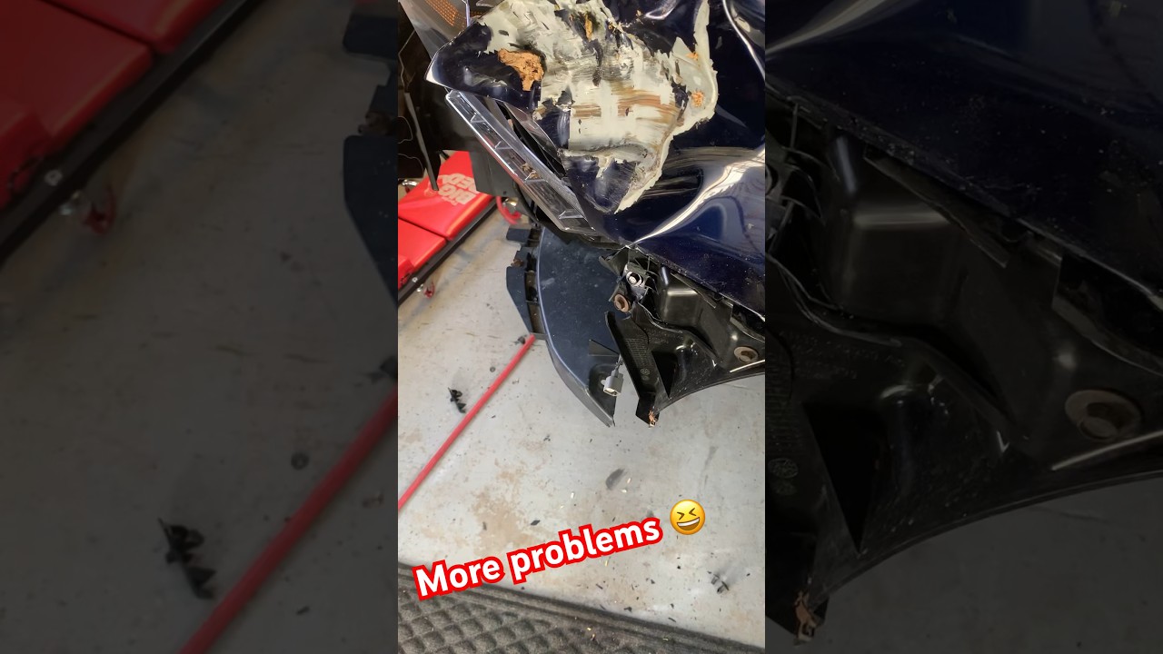 Life of a mustang owner part 2 