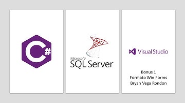 C# + SQL Server + Visual Studio 2022 + Modelo de Capas (Bonus 1 - Formato WinForm)