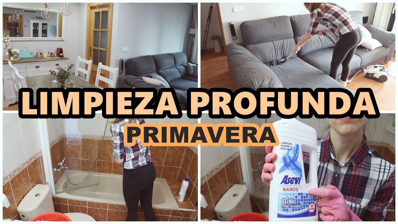 Limpieza Profunda Hogar