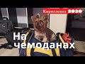 Кирилловка федотова коса август 2020/Море Медуз на пляже/Собираемся и едем домой/Журавлевы на Азове/