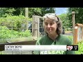 Charlottesville nonprofit pays students to learn tree planting and conservation