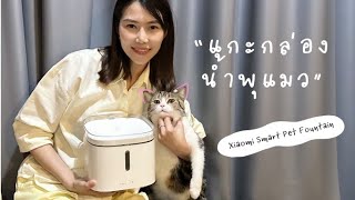 รีวิวน้ำพุแมว Xiaomi Smart Pet Fountain