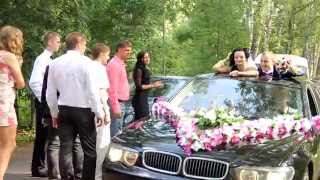 Wedding Day Станислав&Яна Ведение-видео Любовь и Геннадий Низовцовы