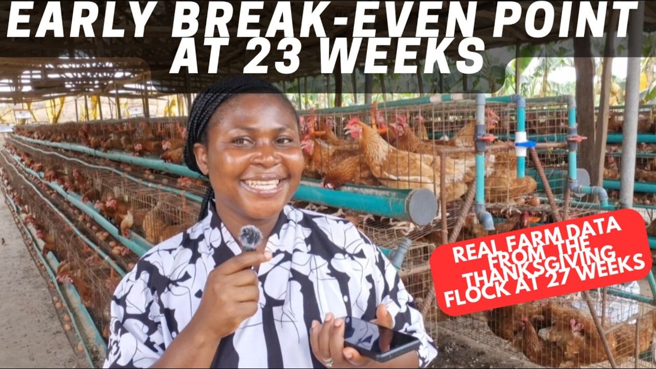 My 27 Weeks Layer Flock: Early Break-Even at 23 Weeks (Real Farm Data)