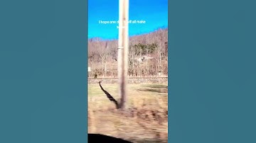 Thumbnail of Ryan Larkins #music #love #support #teamwork #appalachia