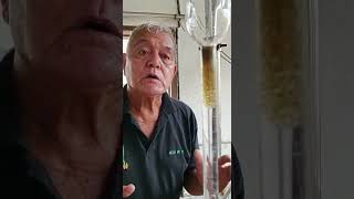 PM GAHARU ..Distilling pure Aquilaria Sinensis Oud.Sharing means Caring