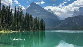 Lake O'hara  Enchanting Alpine Oasis | 4K UltraHD