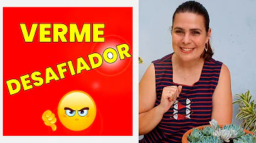 Como combater nematoides nas suculentas?