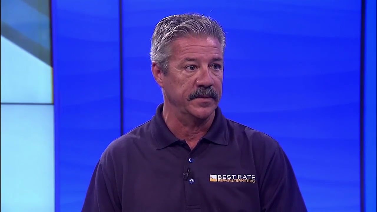 San Diego Wood Repair Wood Damage Causes and Repairs YouTube