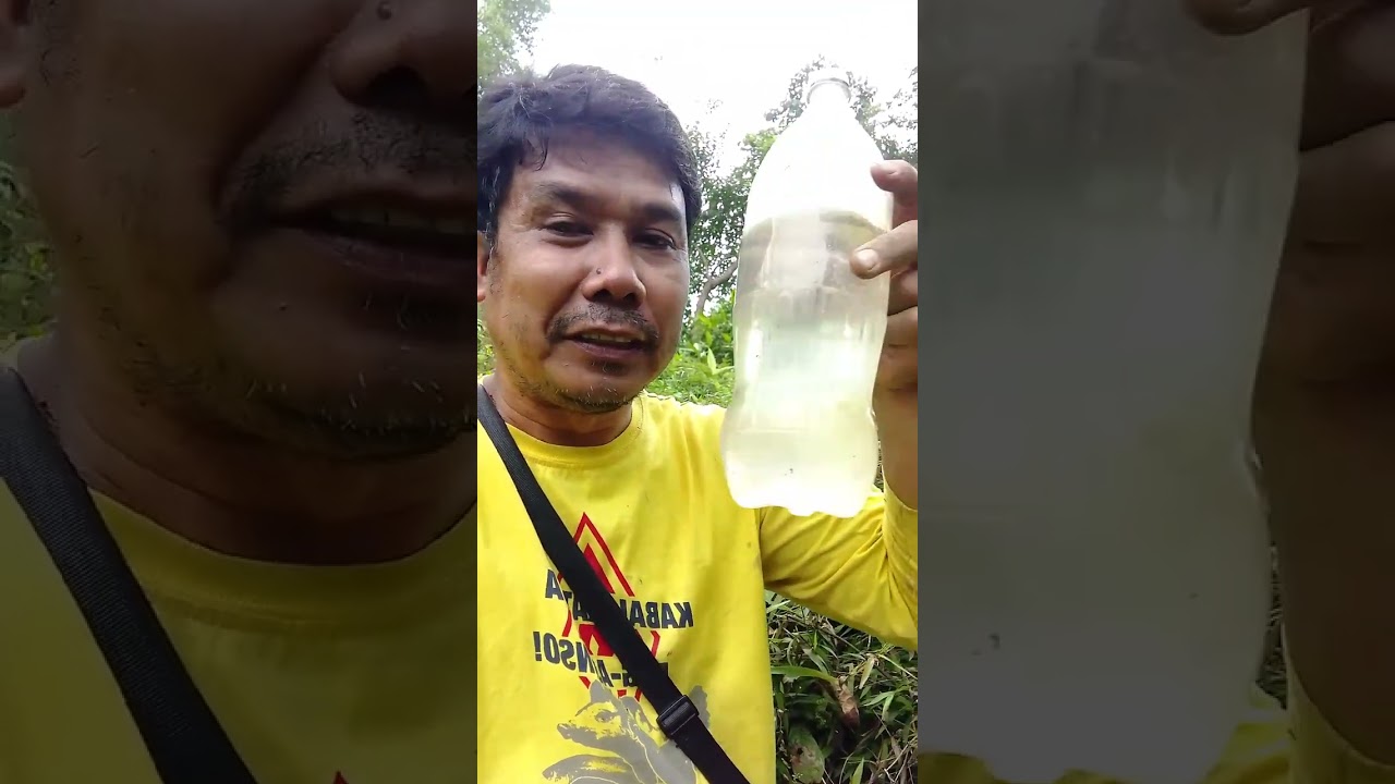 Kaylan lang nag tanim ako ng kape Excelsa!