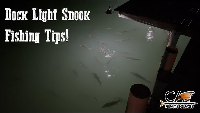 Fishing GREEN Dock Lights for Snook 