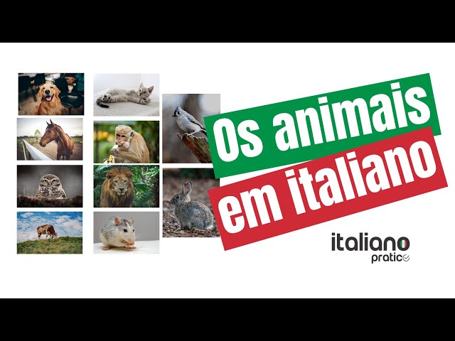 Animais em italiano: 65 animais fofinhos no idioma