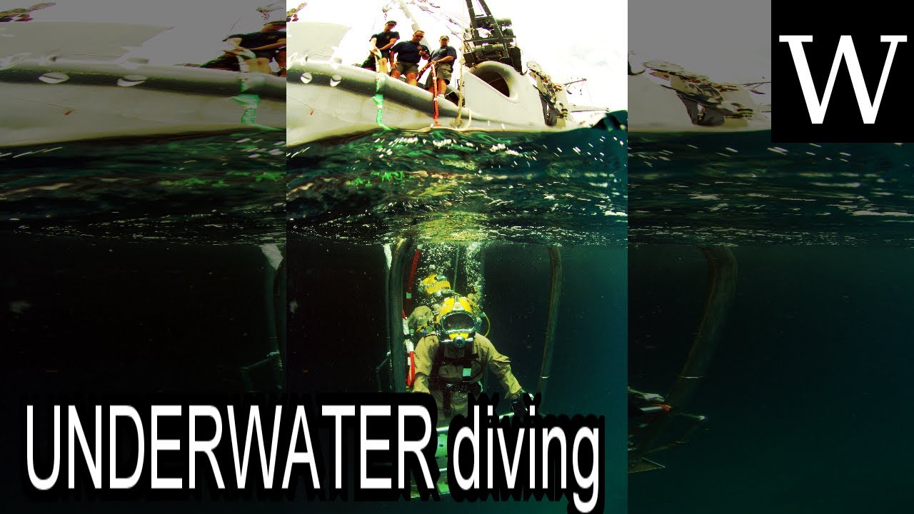 UNDERWATER diving WikiVidi Documentary YouTube