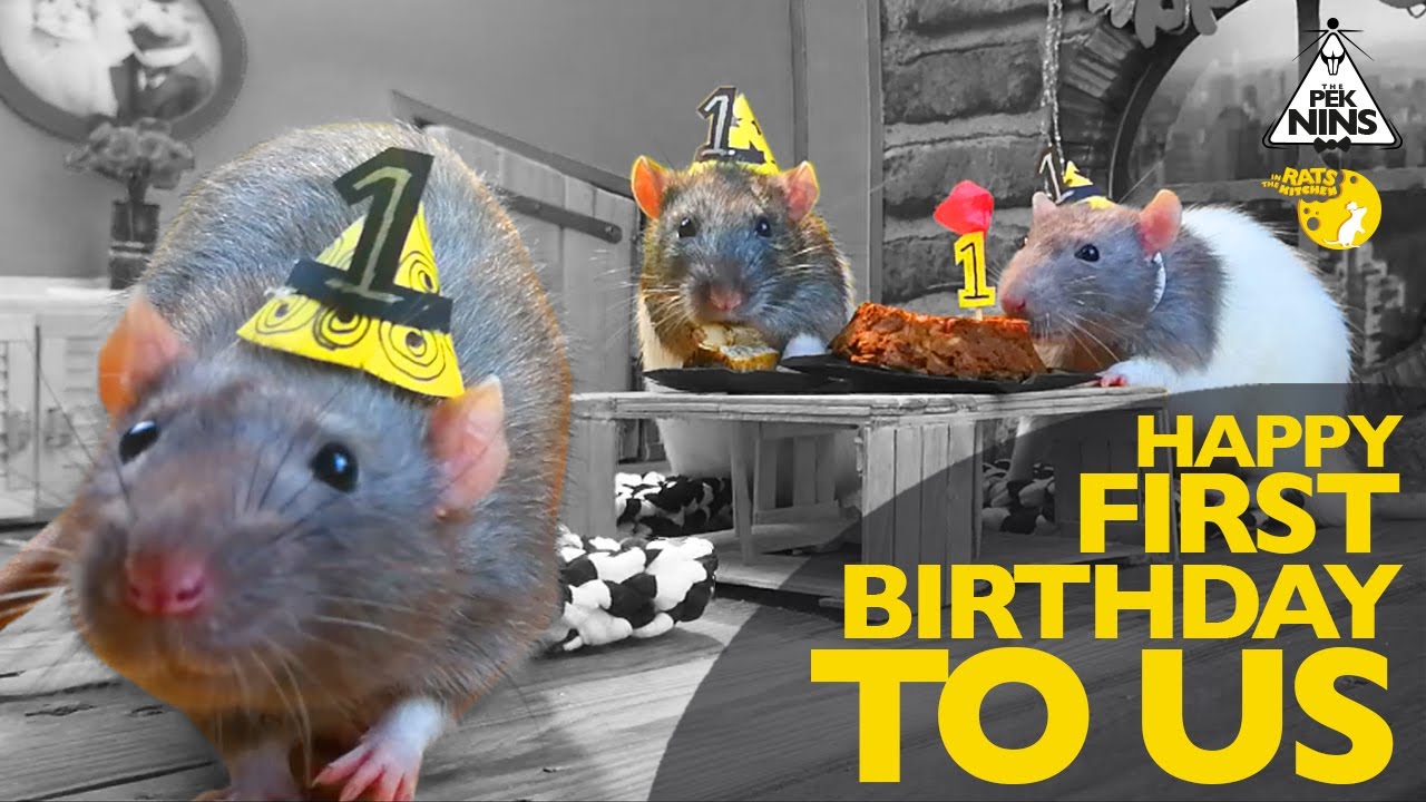 Banana Cake Recipe - Flour & Lactose Free - Rats in the Kitchen - - YouTube