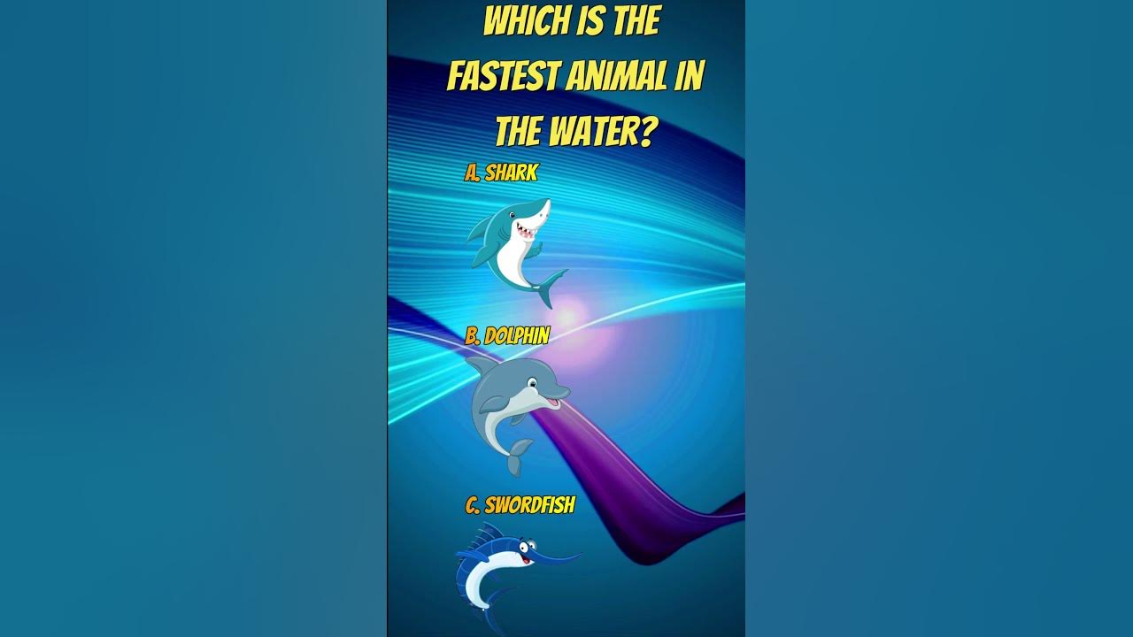 General Knowledge Question Animal General Questions Child Networks