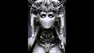 Panzer Petrunko ( Officiell )