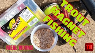 Trout magnet fishing/meal worms