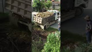 Amazing Start New Landfill Use Dump Truck Unload Stone with Skill D20P Dozer Pushing into Flood Area