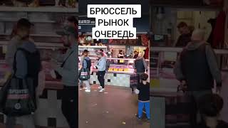 База мигранта в тг #эмиграция #бельгияиталия #европа