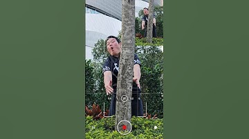 Xiaomi 14 Ultra Camera Motion Tracking Focus Test: Jaw-Dropping!