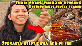 DEDE INOEN MULAI MASUK PESAWAHAN DI THAILAND BERBURU PENGHUNI RAWA