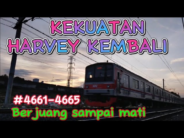 KEKUATAN HARVEY KEMBALI #4661-4665|BERJUANG SAMPAI MATI class=