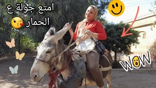 نزلت الغيط🌾عند عمي 😉 وركبت الحمار 🐴 قضيت يوم النهاردة كلو ضحك🐵وفرفشة🙈