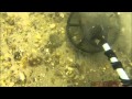 Cz21 quick silver metal detector dive with detectorcomparisons